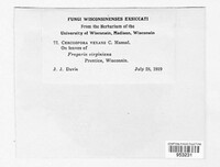 Image Associated With the Occurence